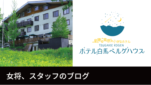 スタッフのブログ