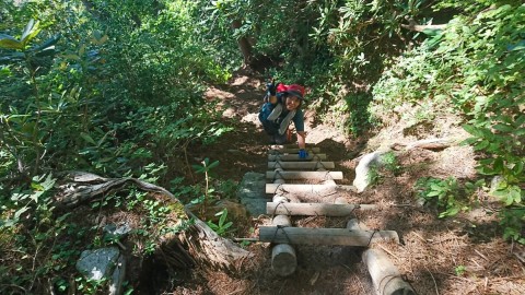 女将下山