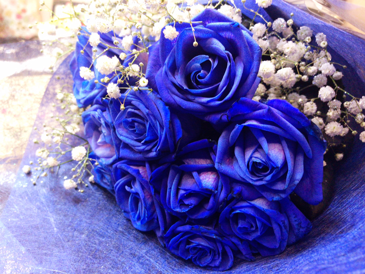 青い薔薇をjさんへ ベルグスタッフブログ