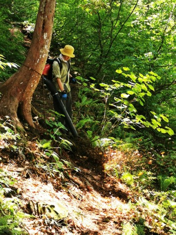 船窪下山道