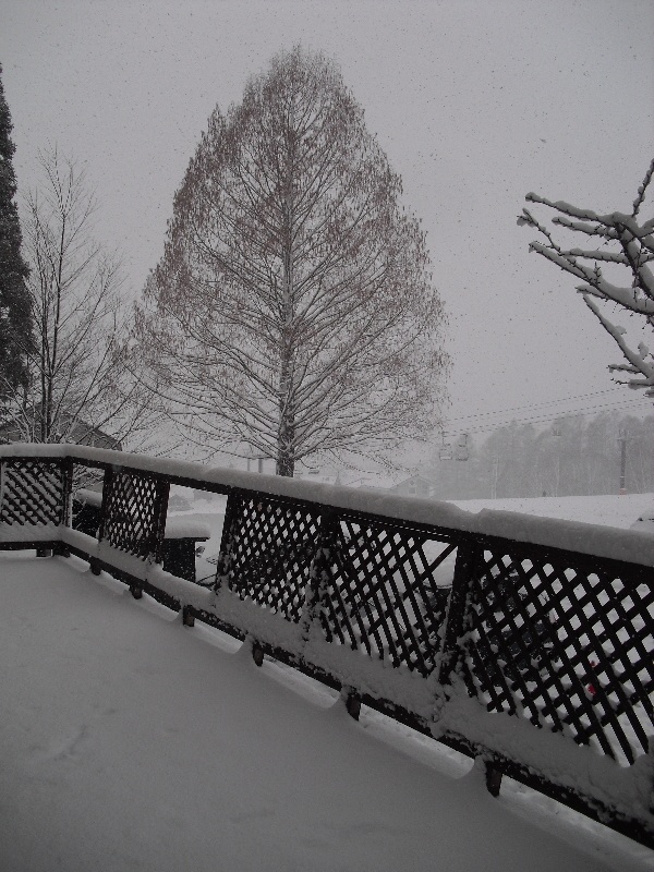 栂池はホテルの前でも雪が積もっていますよ！